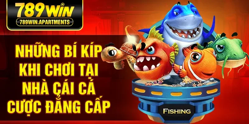 Những bí kíp khi chơi tại nhà cái cá cược đẳng cấp